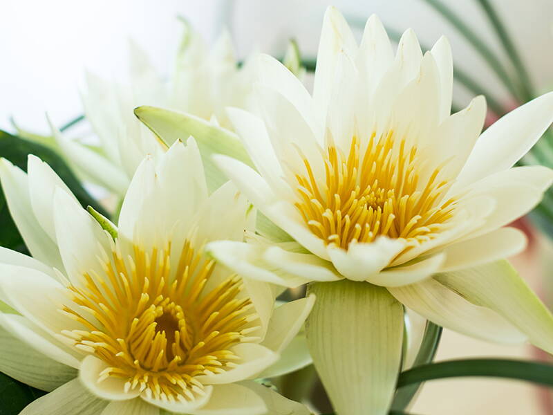 wohlfuelen_1.jpg wohlfuelen_1.jpg