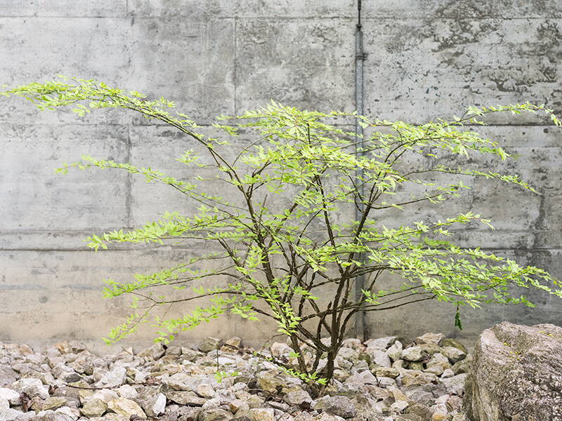 quartier_1.jpg quartier_1.jpg